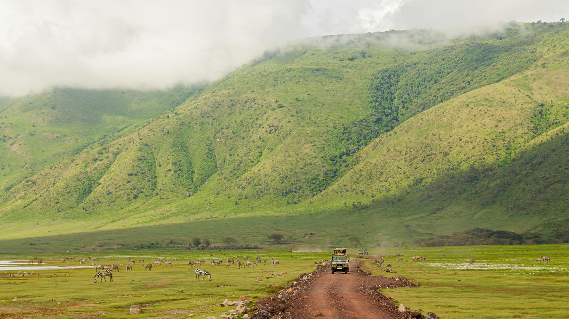 Ngorongoro