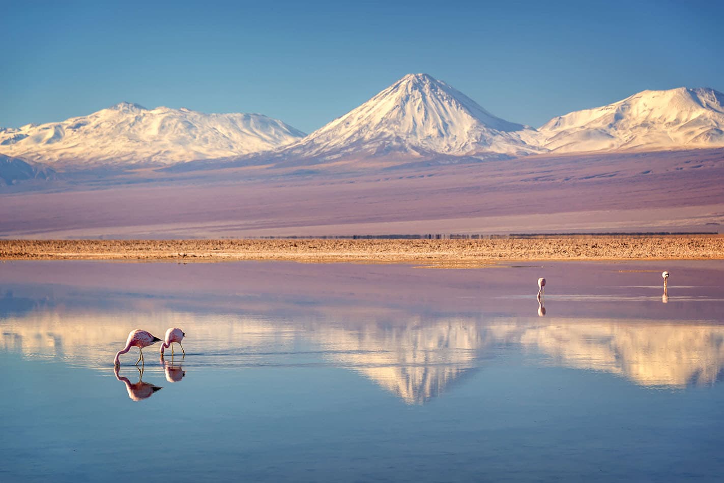 Salar De Atacama