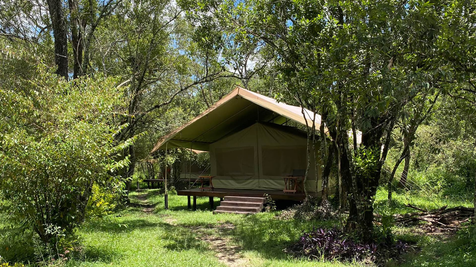 Serea Tent